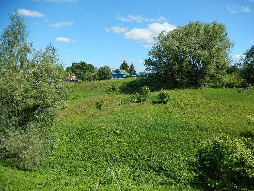 Photo #13780760
