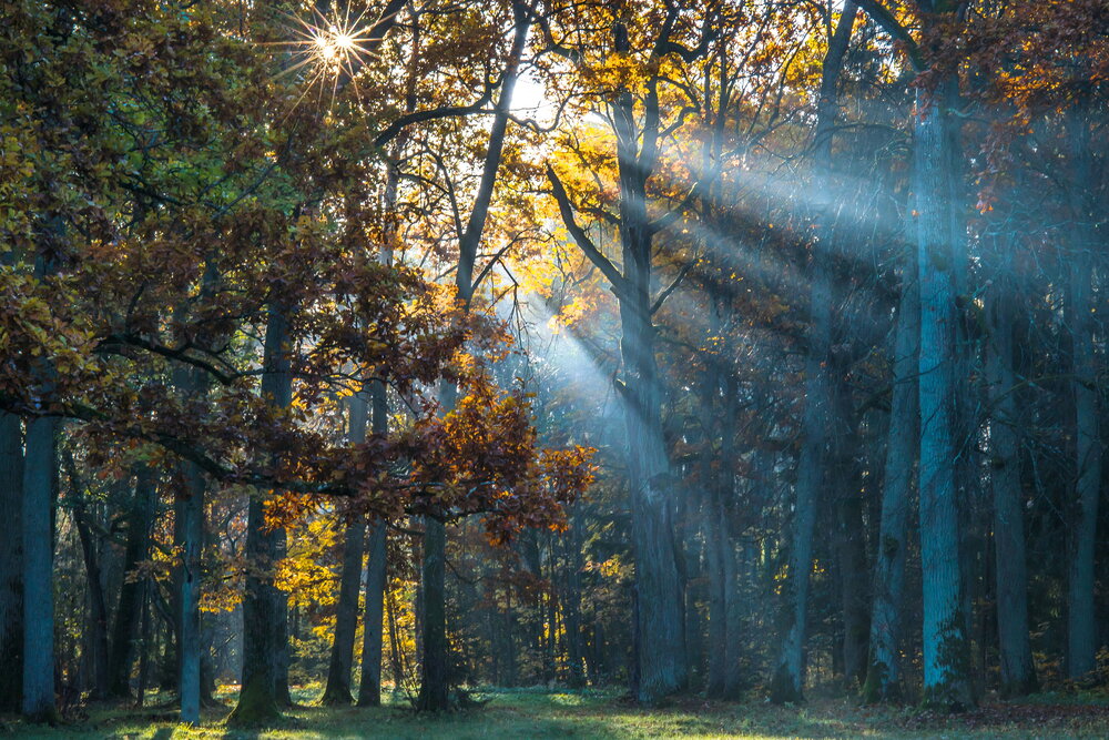 Photograph by Валерий Смирнов