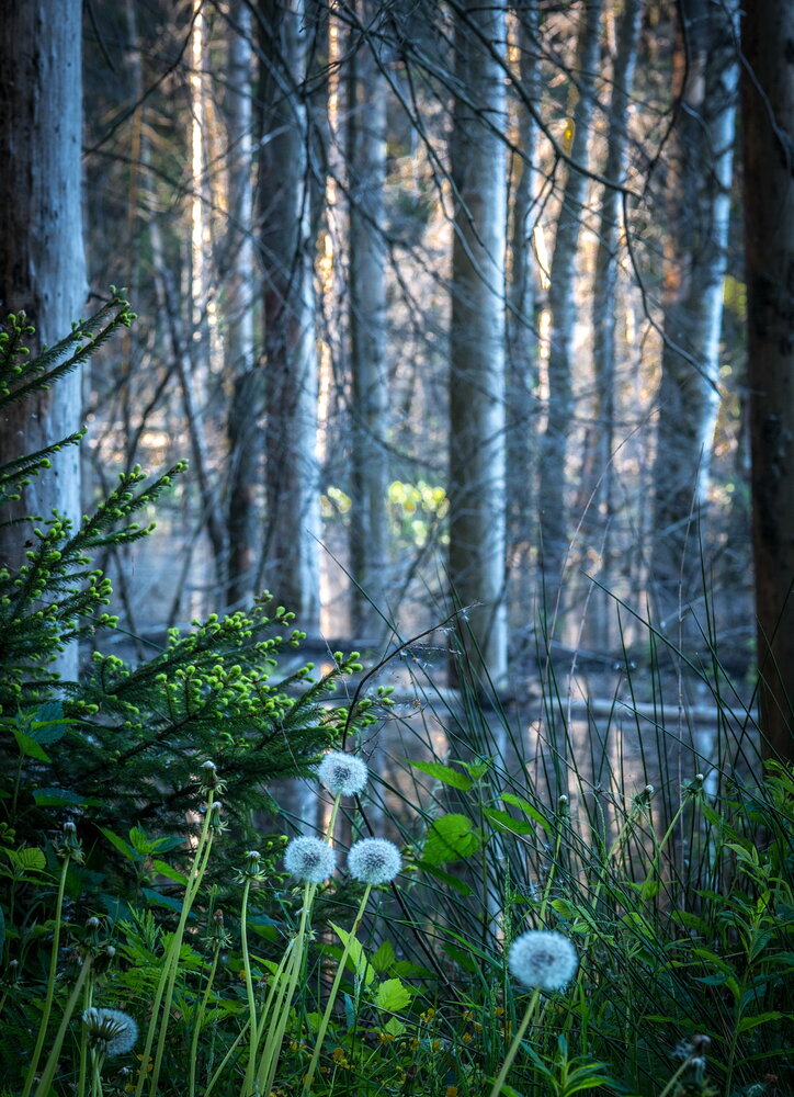 Photograph by Валерий Смирнов