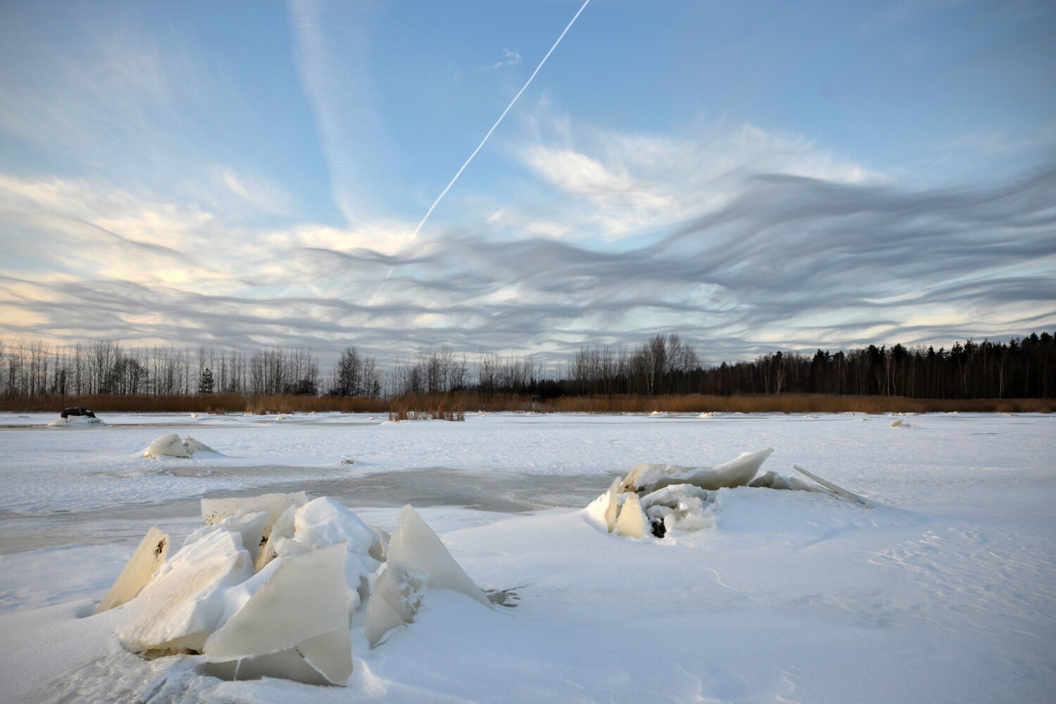 Photo #13780886