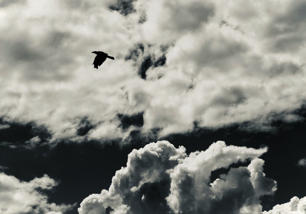 Photograph by Арина Фирсова