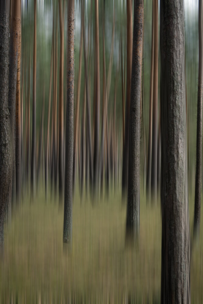 Photograph by Алекс Волк
