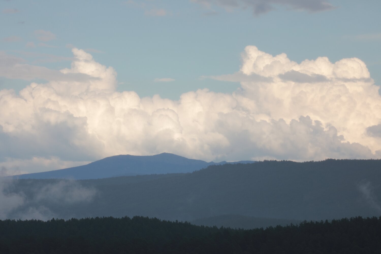 Photo #13780899