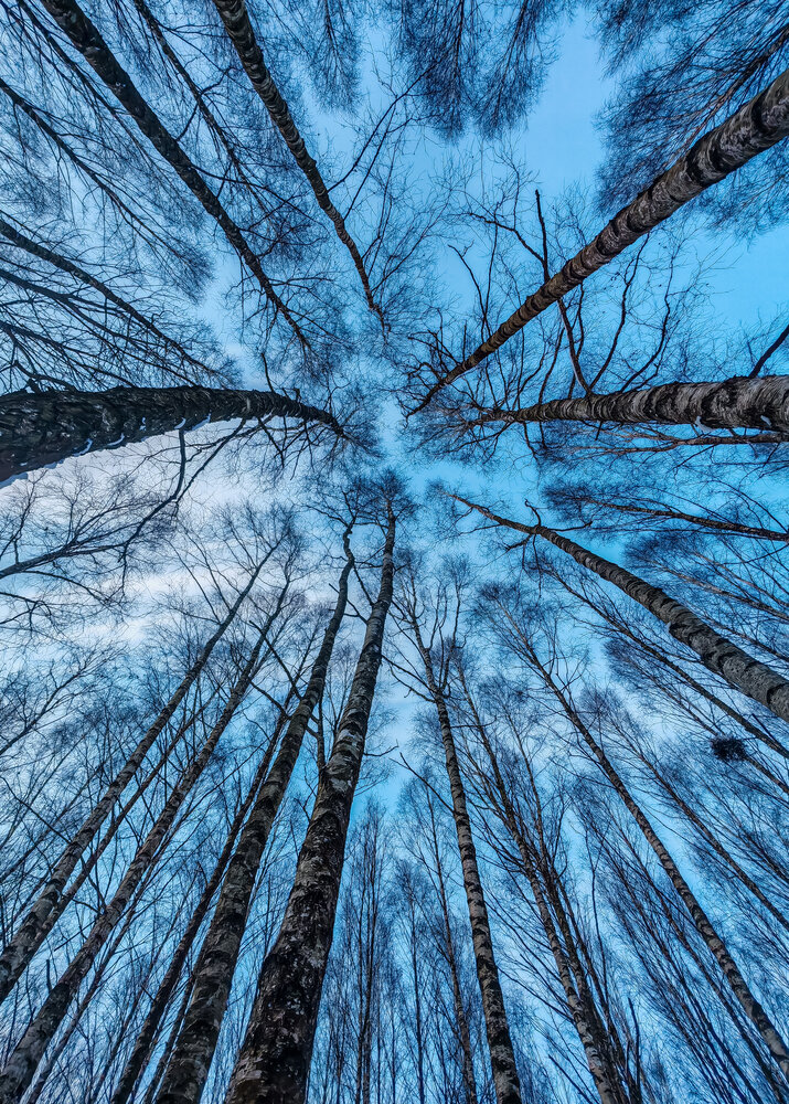 Photograph by Алекс Волк