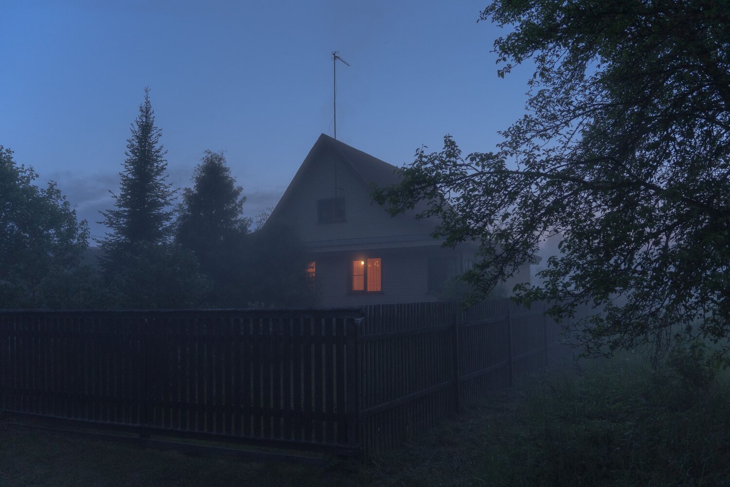 Photo #13780905