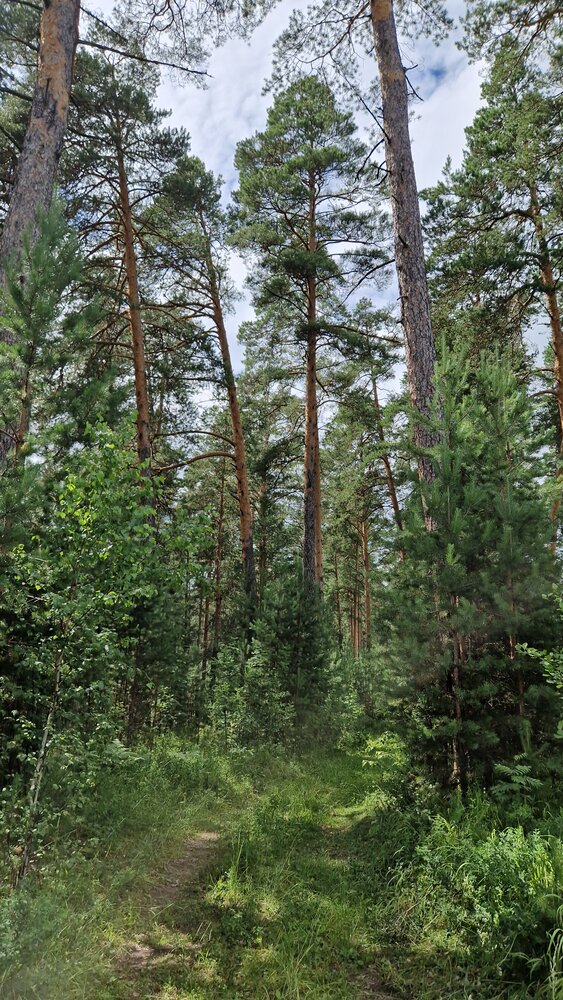 Photograph by Максим Ташкинов