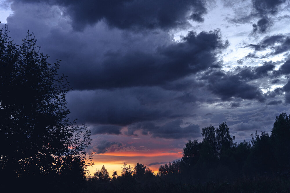 Photograph by Людмила Щепилова