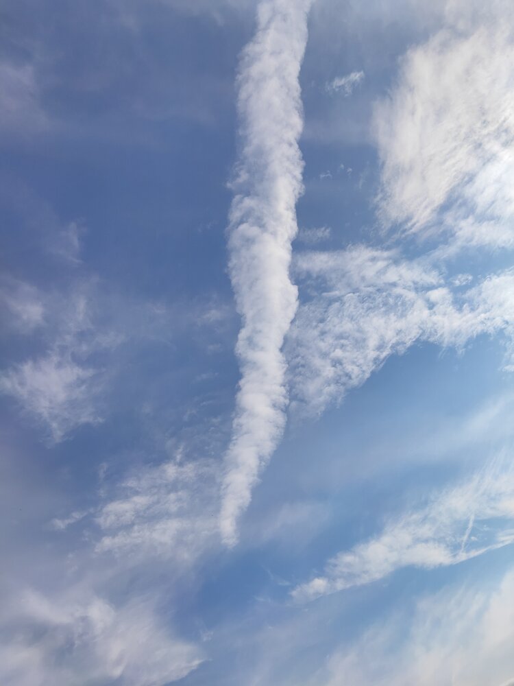 Photograph by Юлия Новожилова