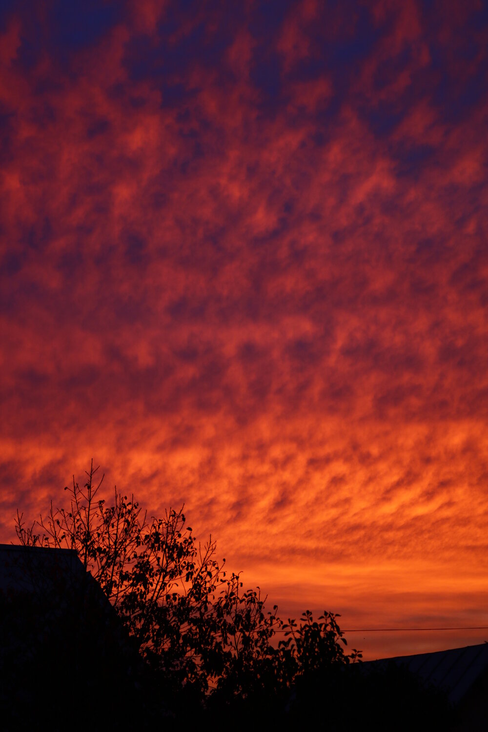 Photo #13780949