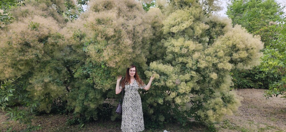 Photograph by Валерия Сопова
