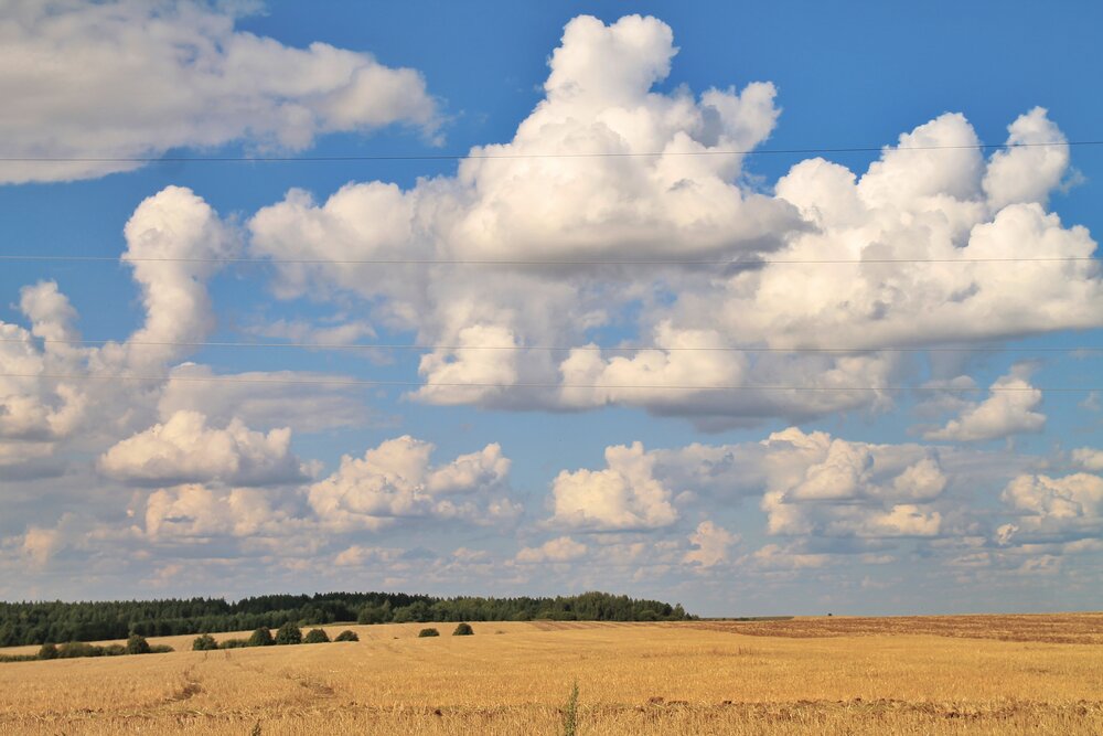 Photograph by Виктория Хмара