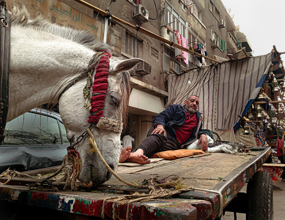 Photograph by Youssef Ebrahim Desoky