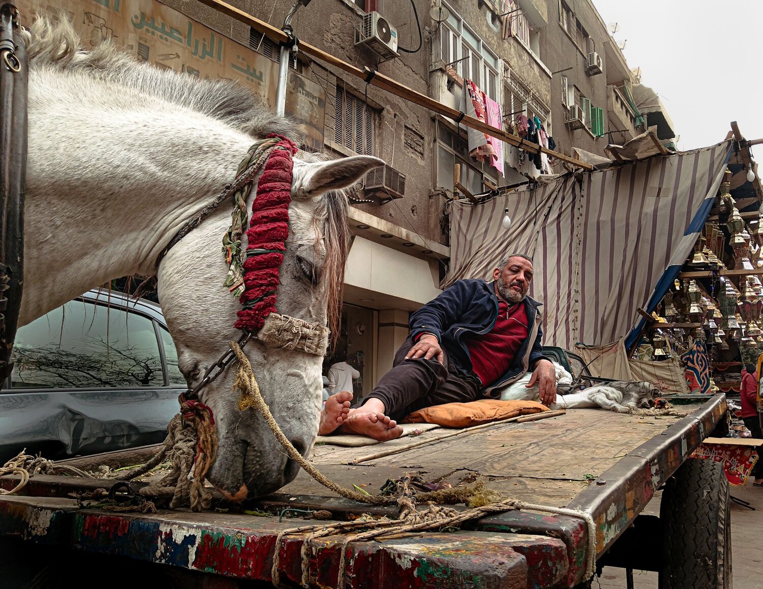 Photo #13780985