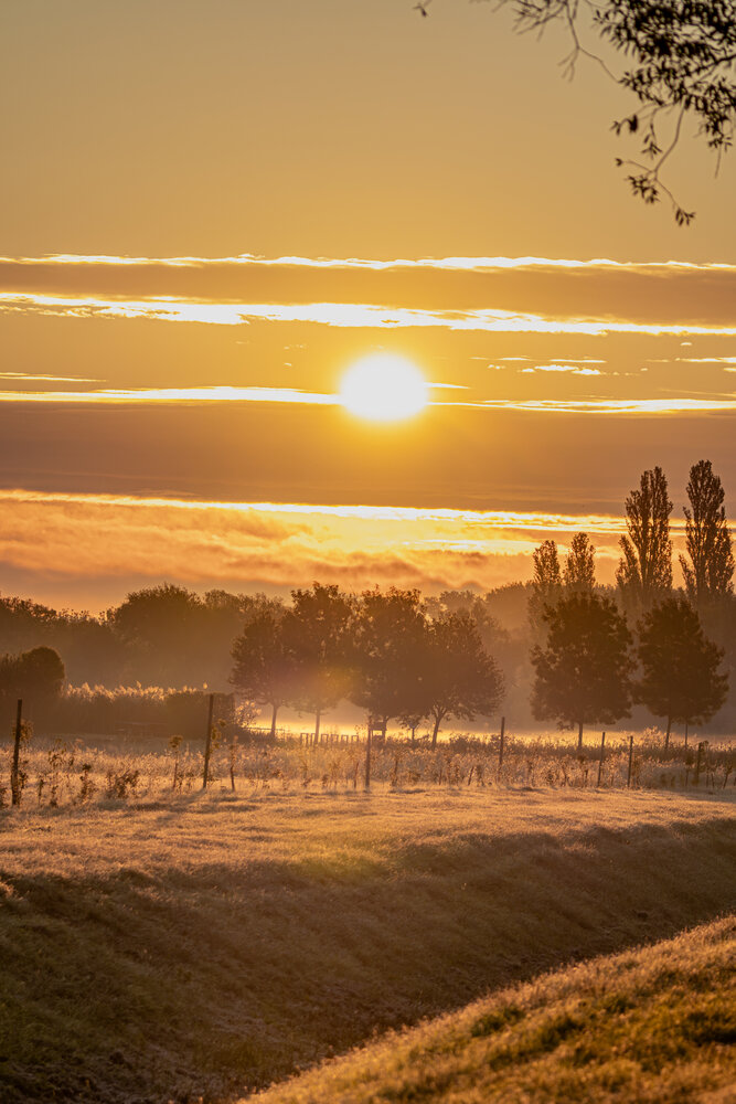 Sunrise