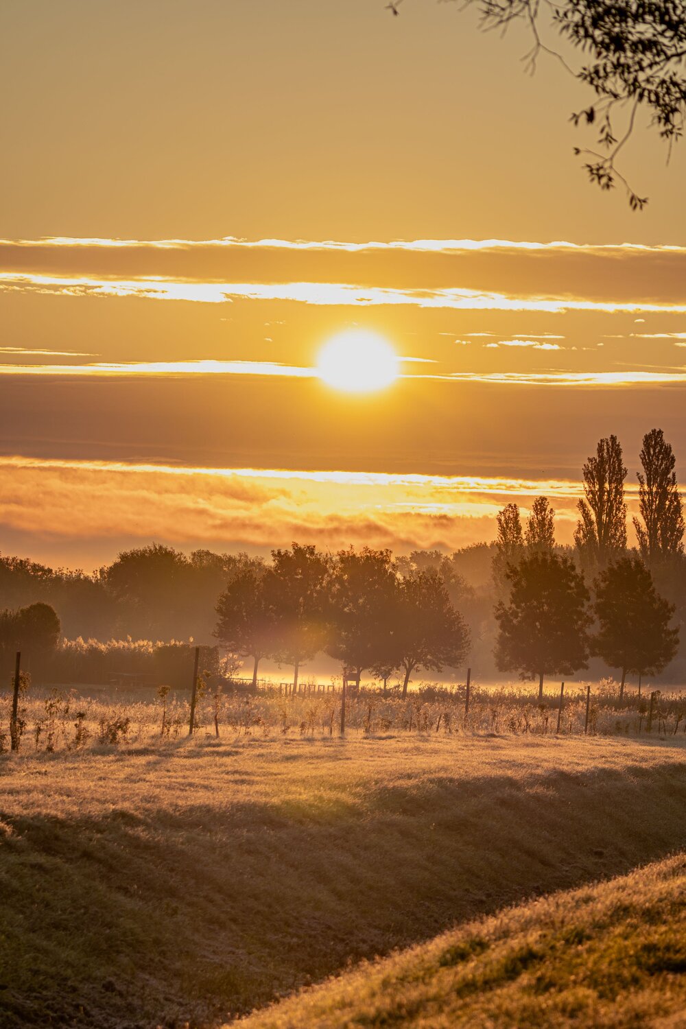 Sunrise