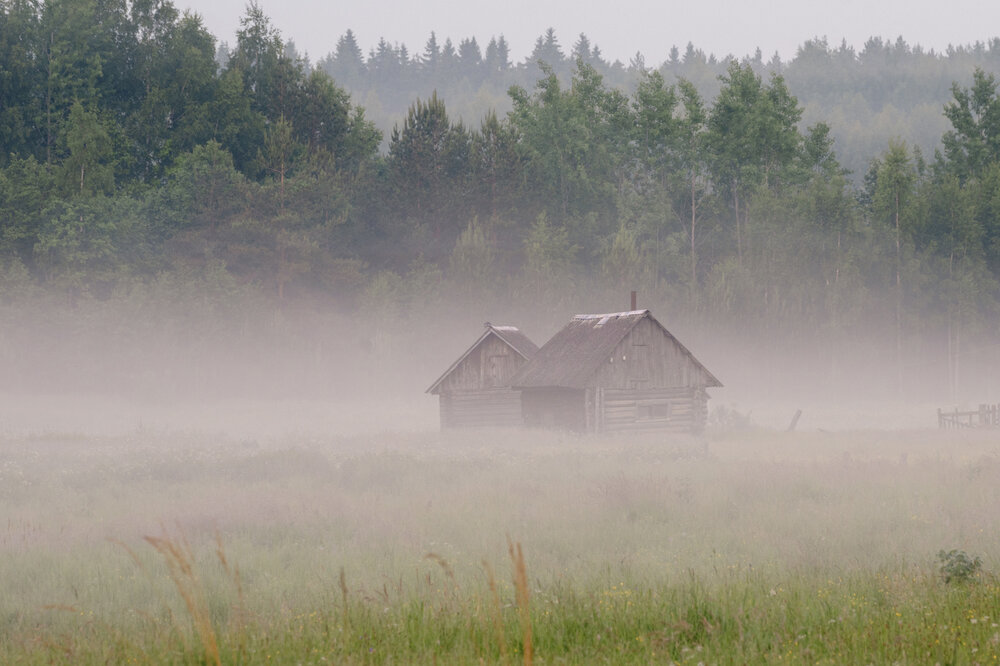 Photo #13781036