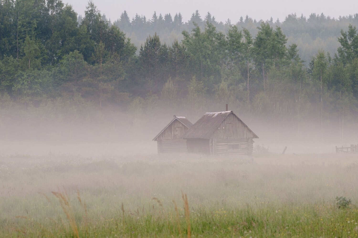 Photo #13781036