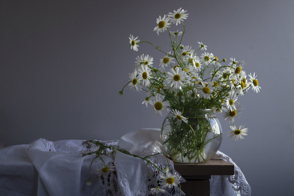 Photograph by Татьяна Попова