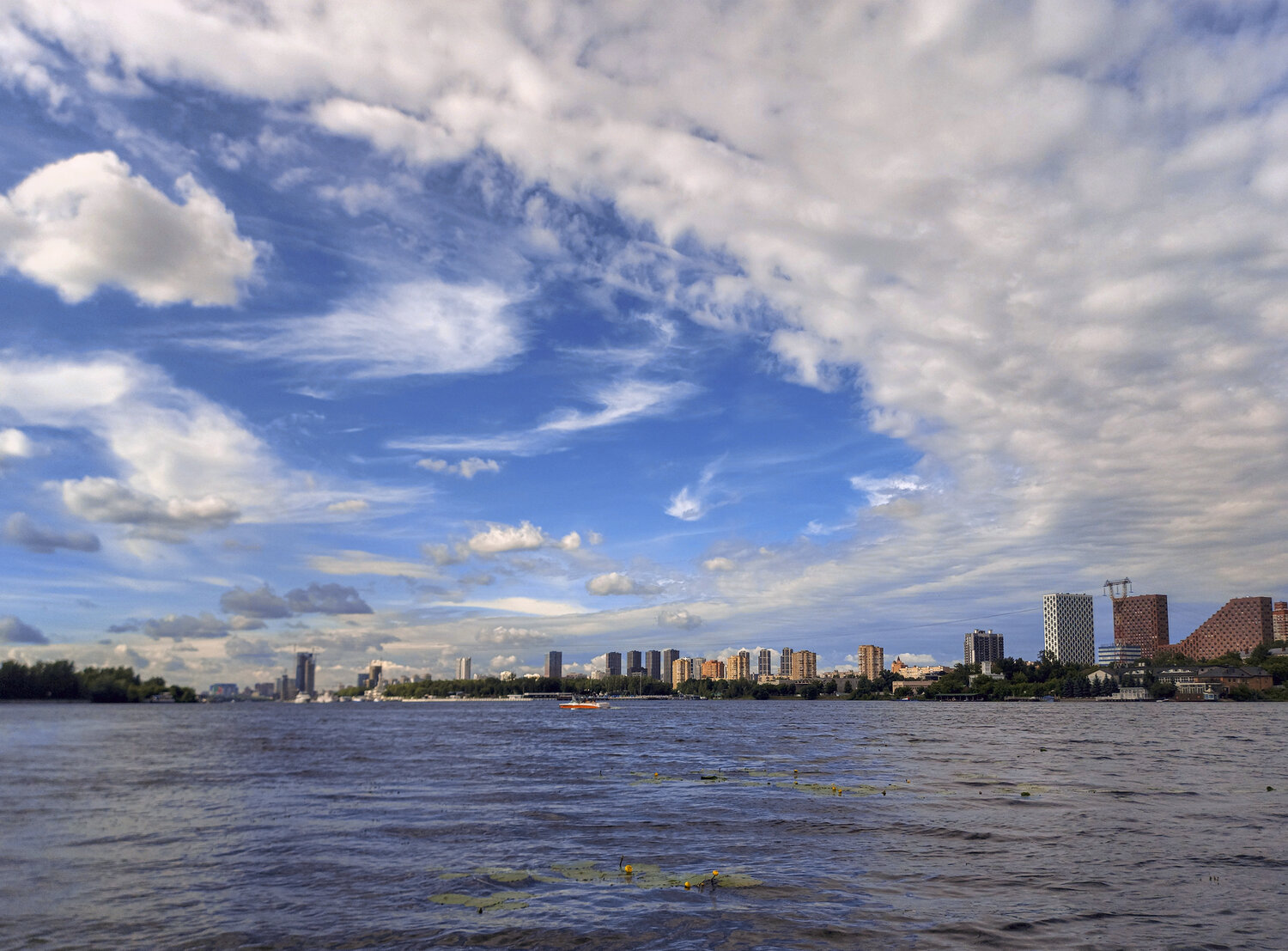 Photo #13781125