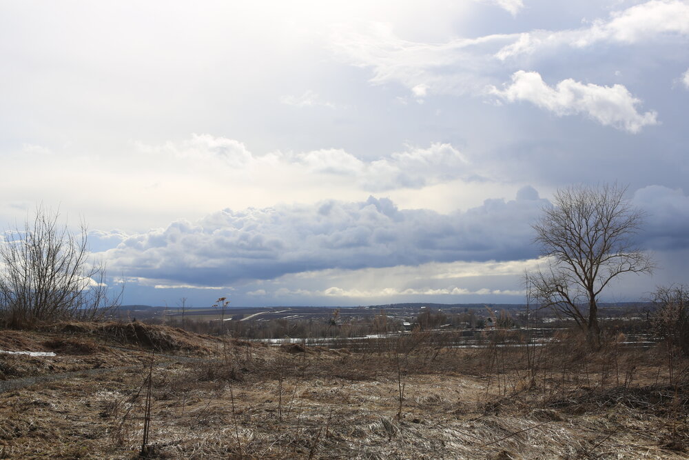 Photograph by Маргарита Баранова