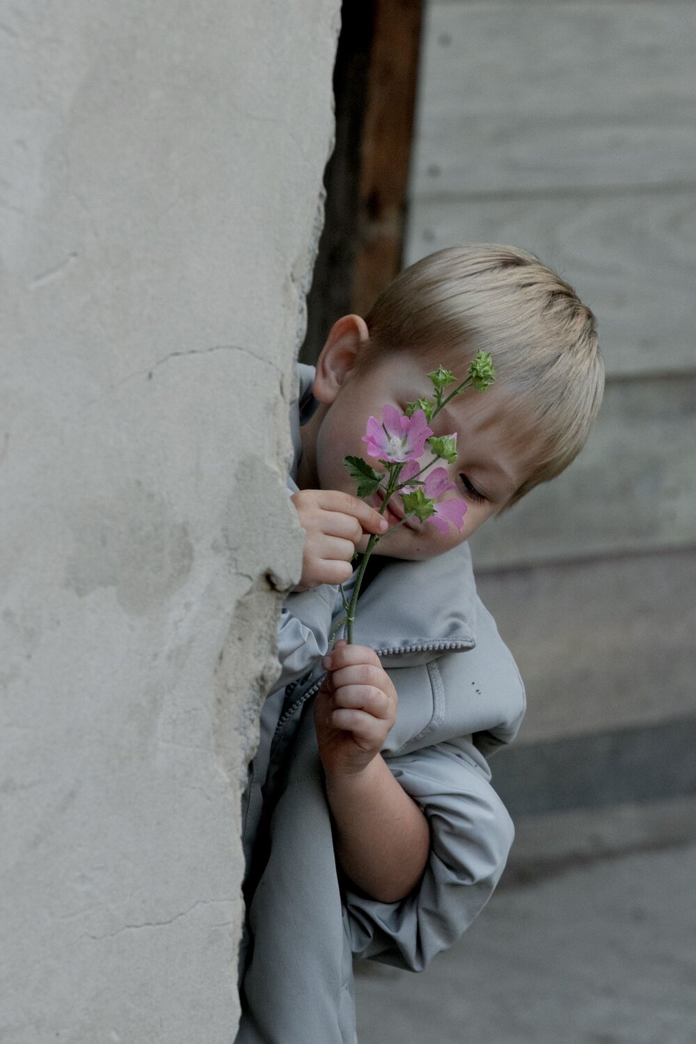Photo #13781162
