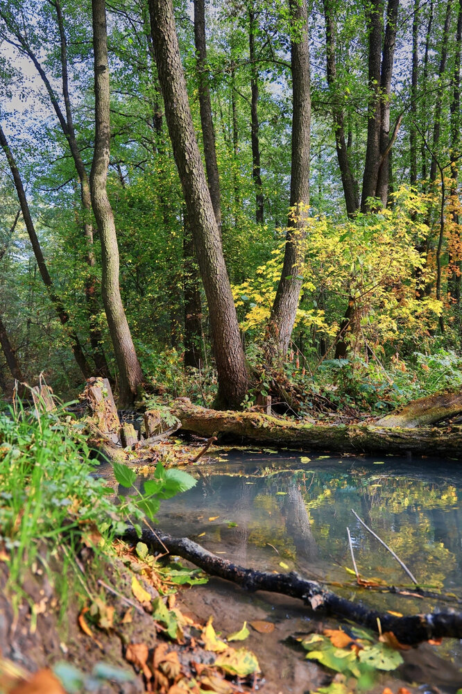 Photograph by Ирина Бабич
