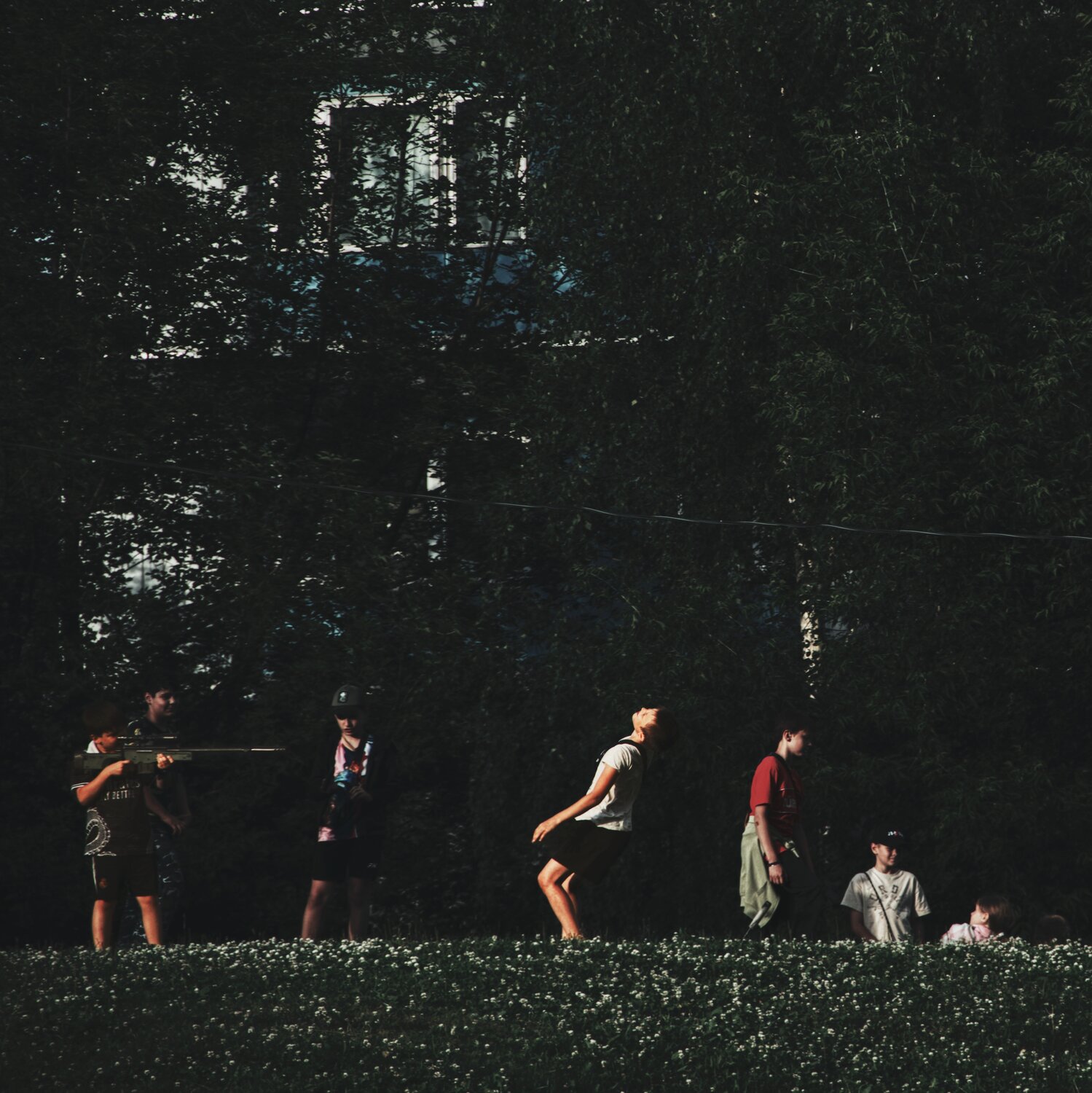 Photo #13781227