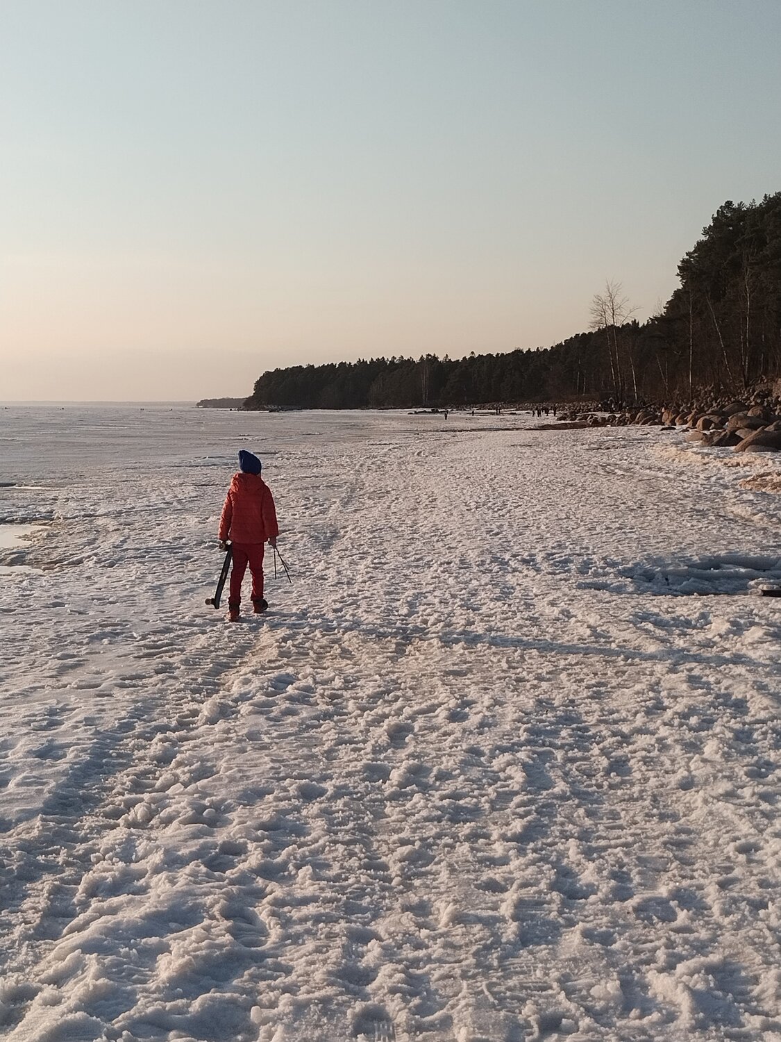 самостоятельный