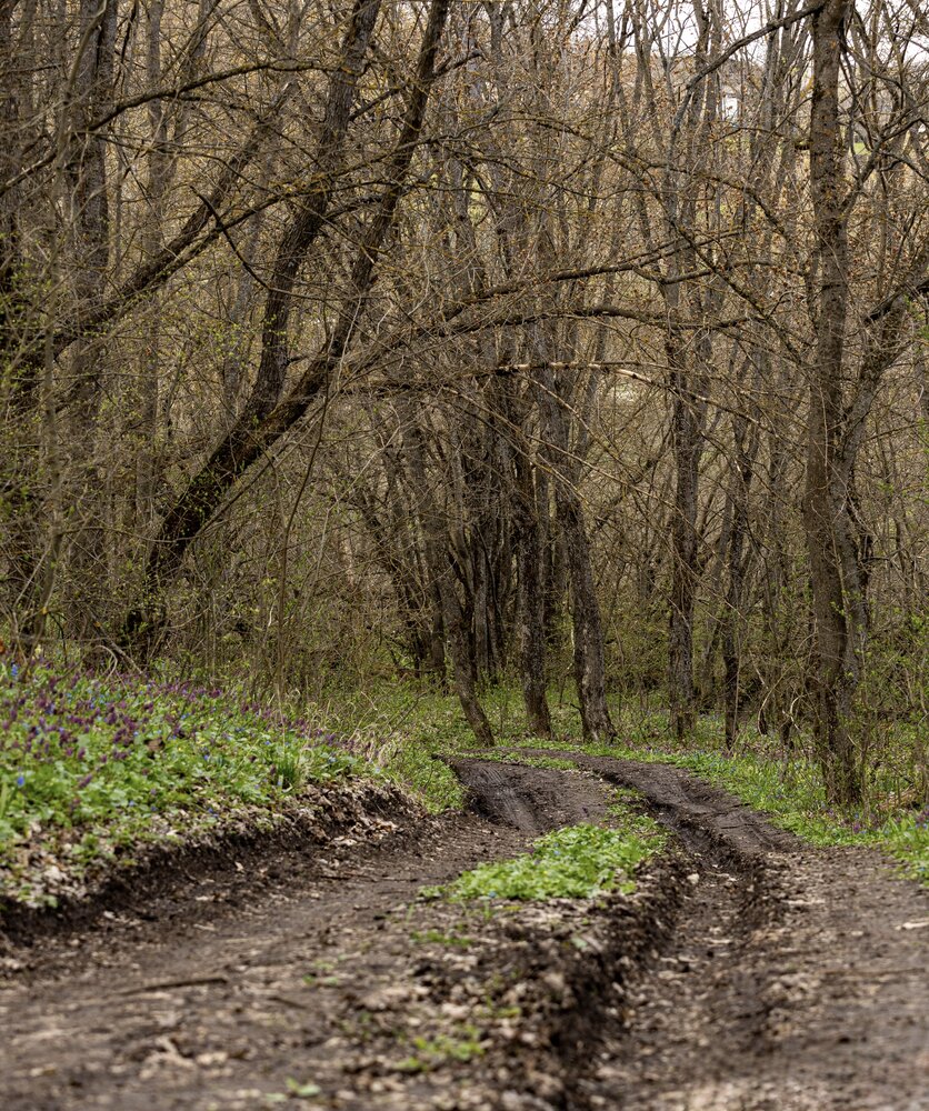 Photograph by Ирина Бабич