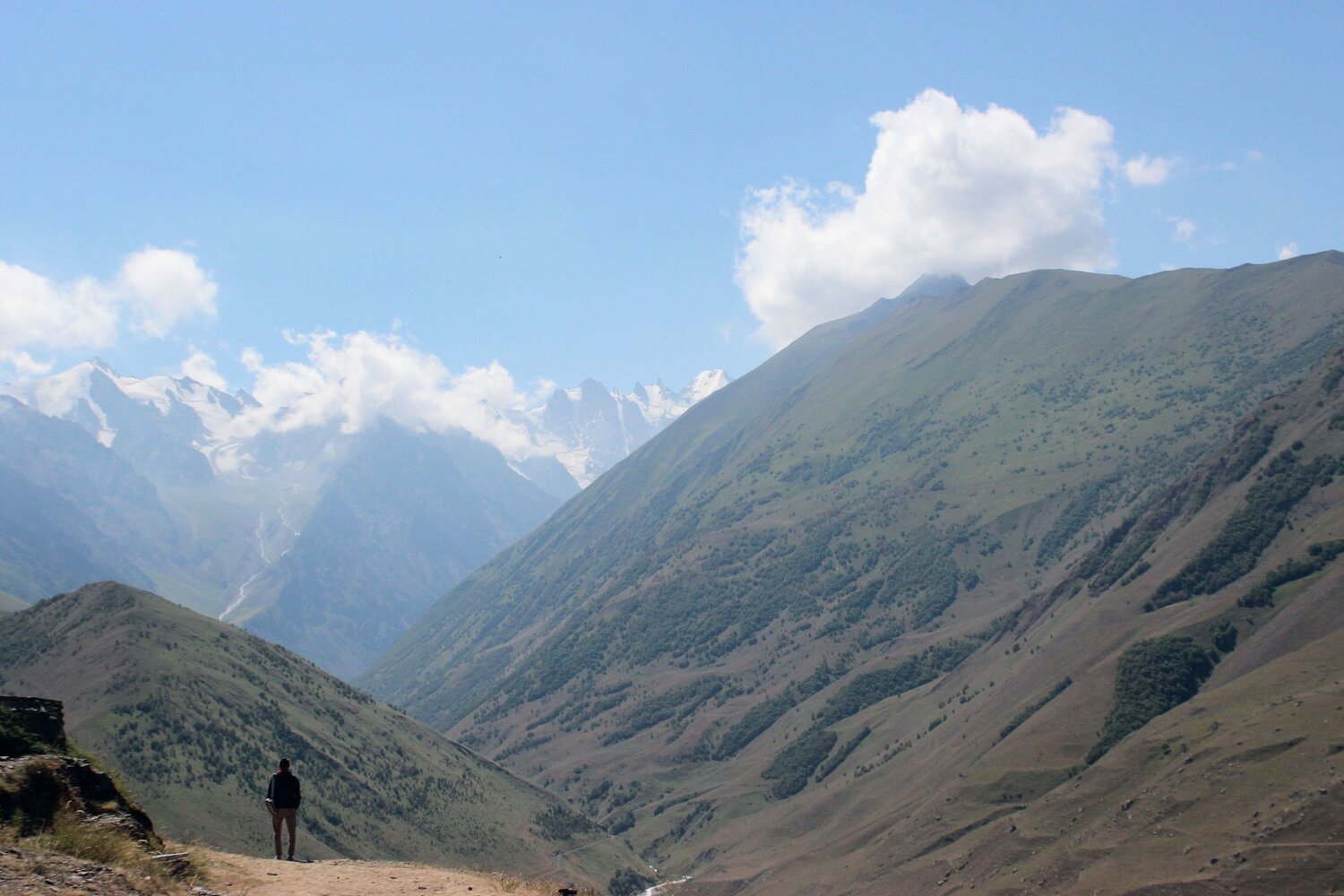 Photo #13781262