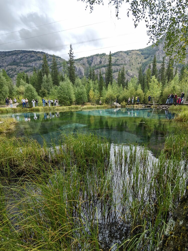 Photo #13781273