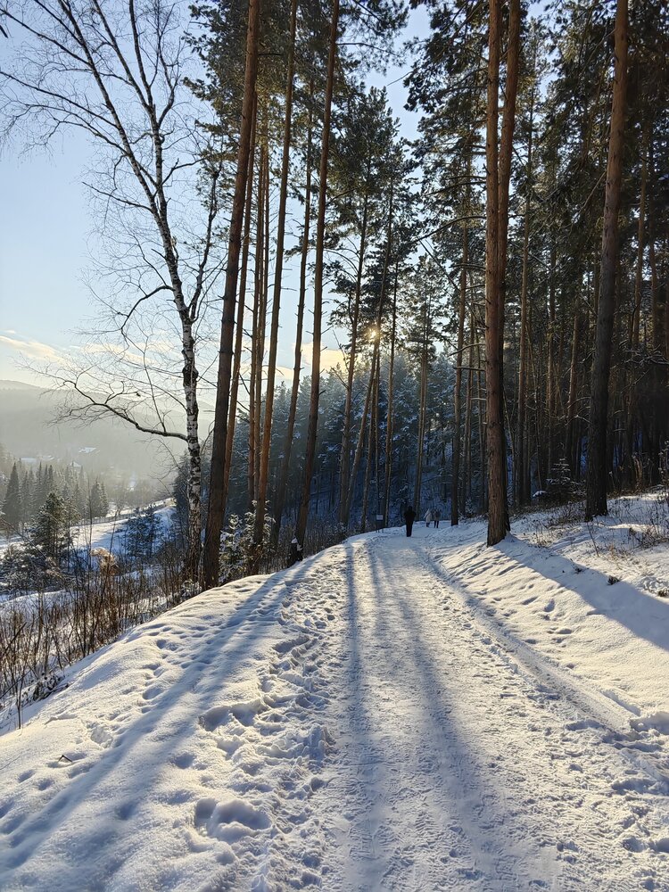 Photo #13781274