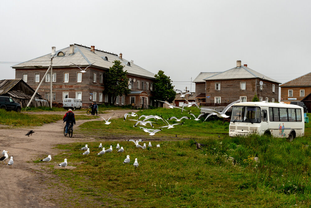 Photograph by Olga Smirnova