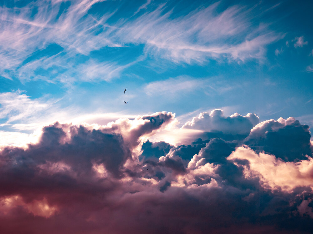 Photograph by Roman Sotnikov