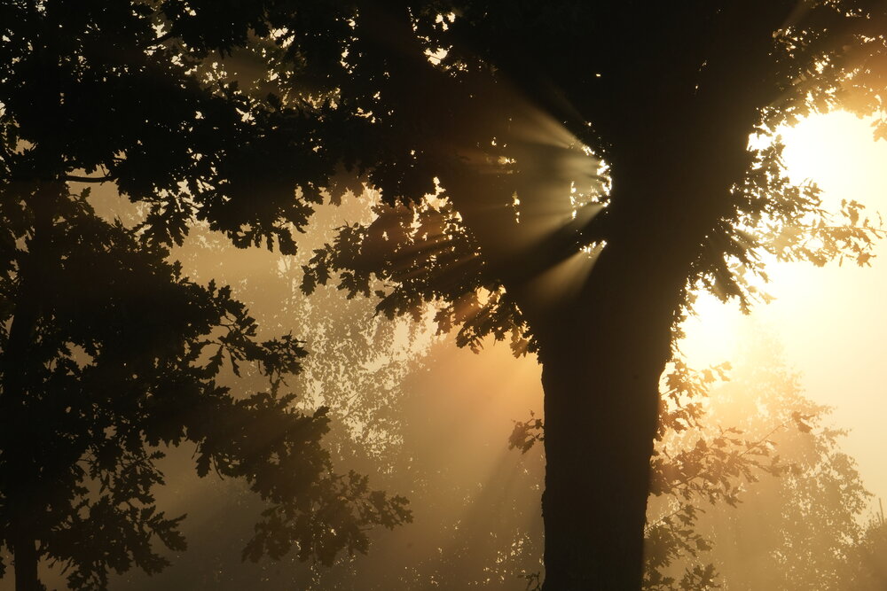 Photograph by Михаил Трусов