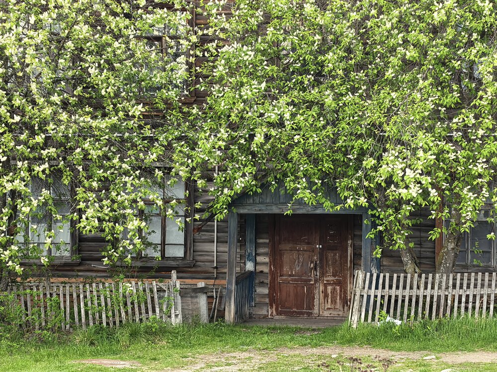 Photograph by Буторина Людмила