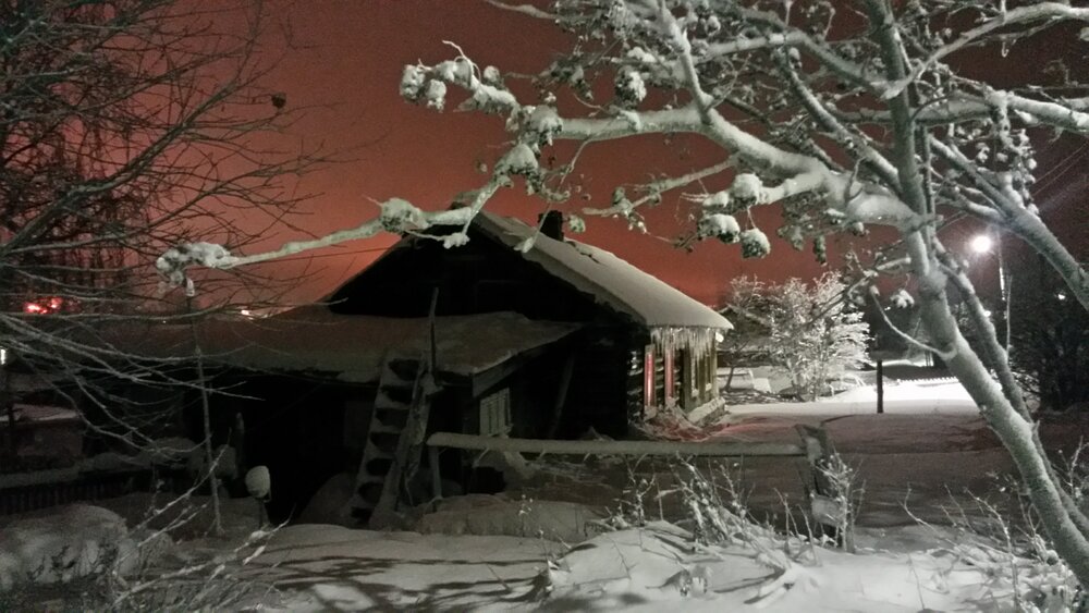 Photograph by Буторина Людмила