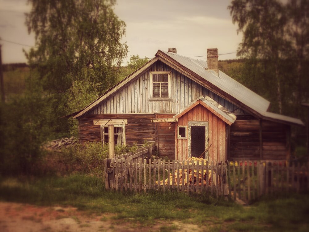 Photograph by Буторина Людмила