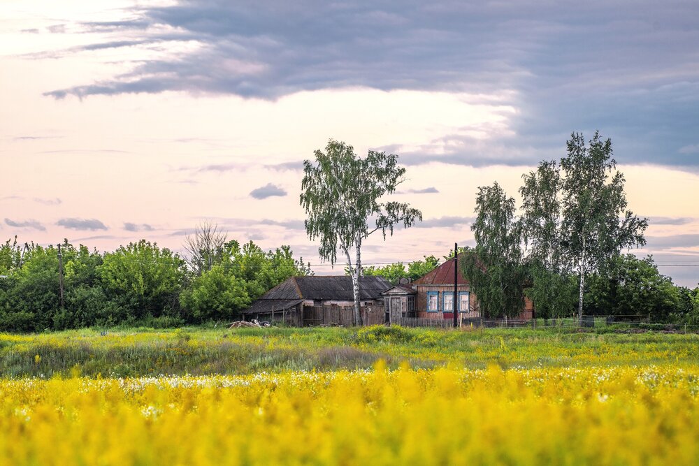 Photograph by Алексей Сиваков