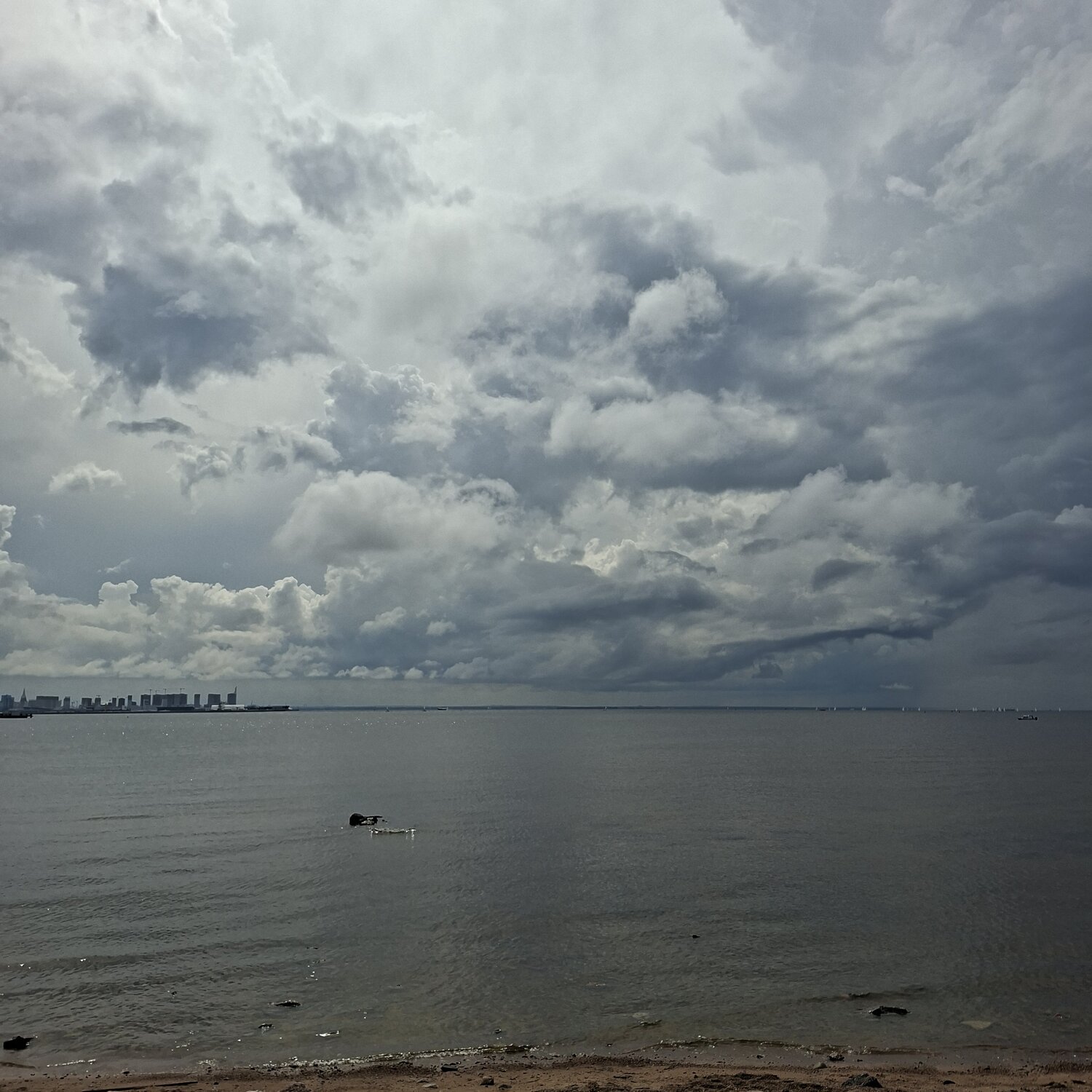Photo #13781331