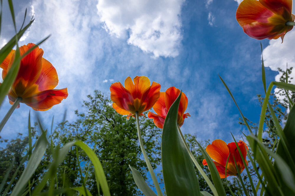 Photograph by Тамара Сахарова