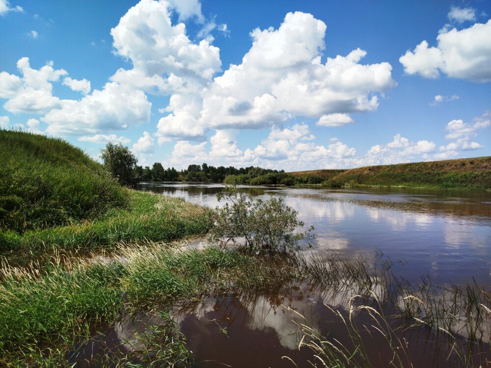 Photograph by Дубровина Марина