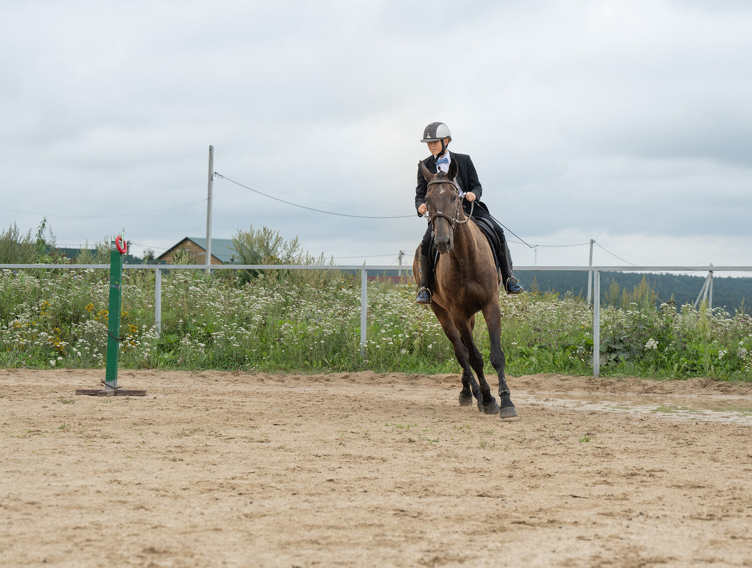 Photo #13781410