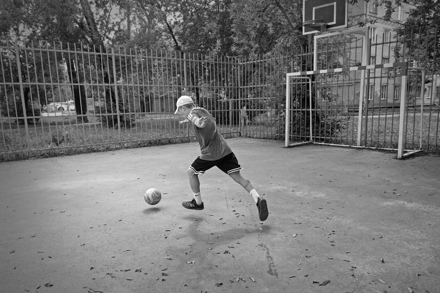 Photo #13781427