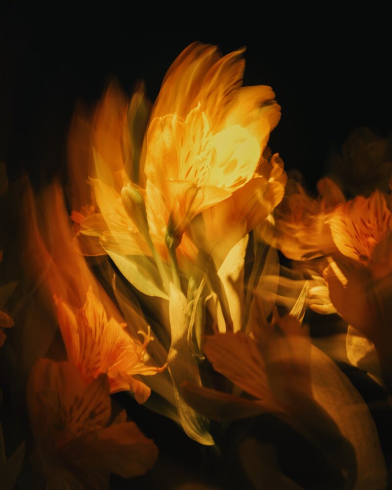 Photograph by Zamira Sozieva