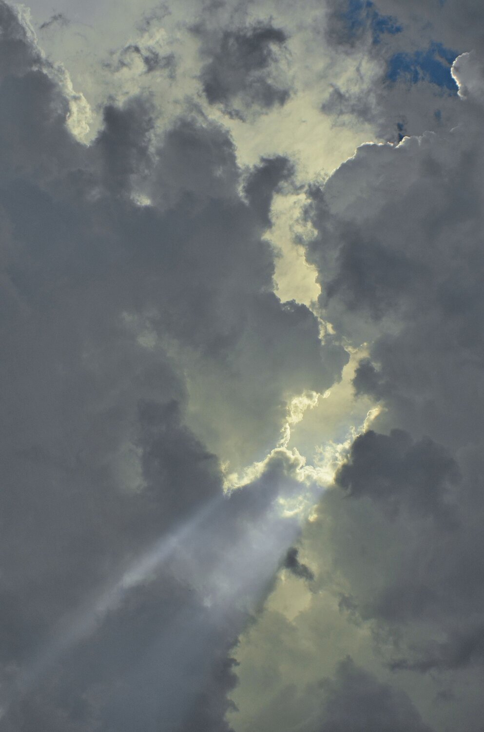 Photo #13781448