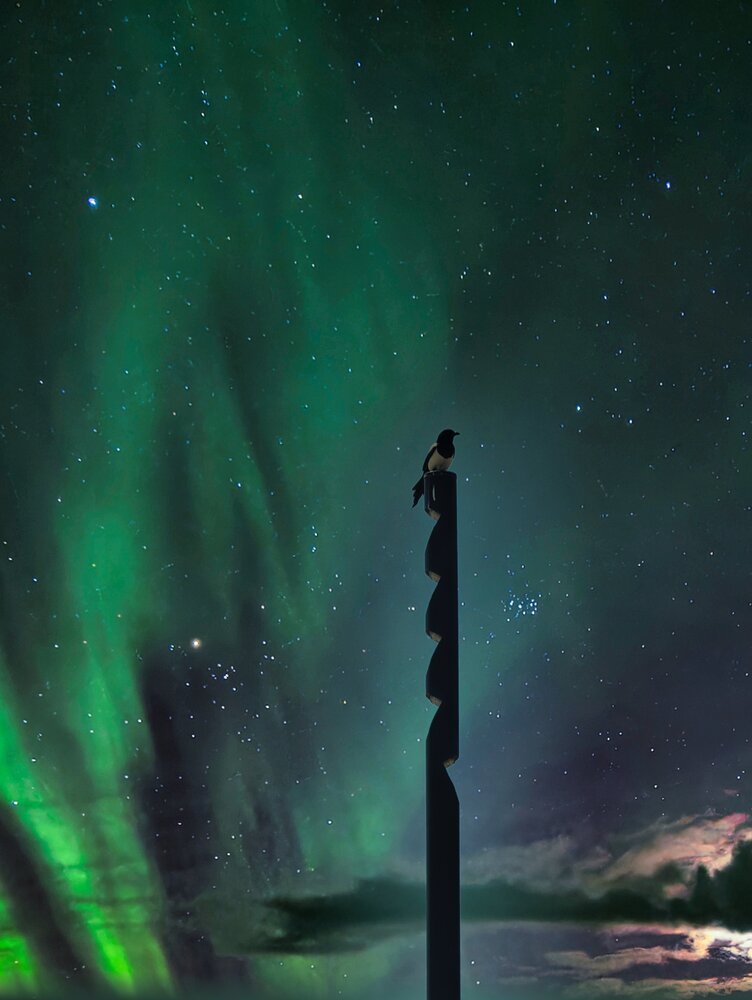 Looking to Sky