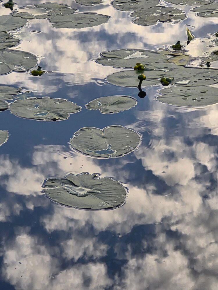 Photograph by Елена