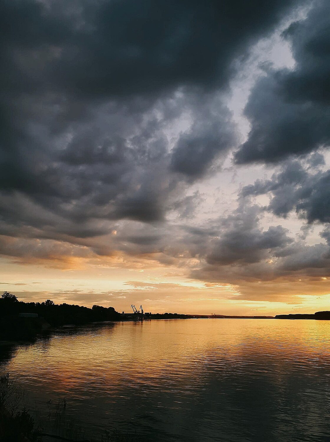 Photo #13781480