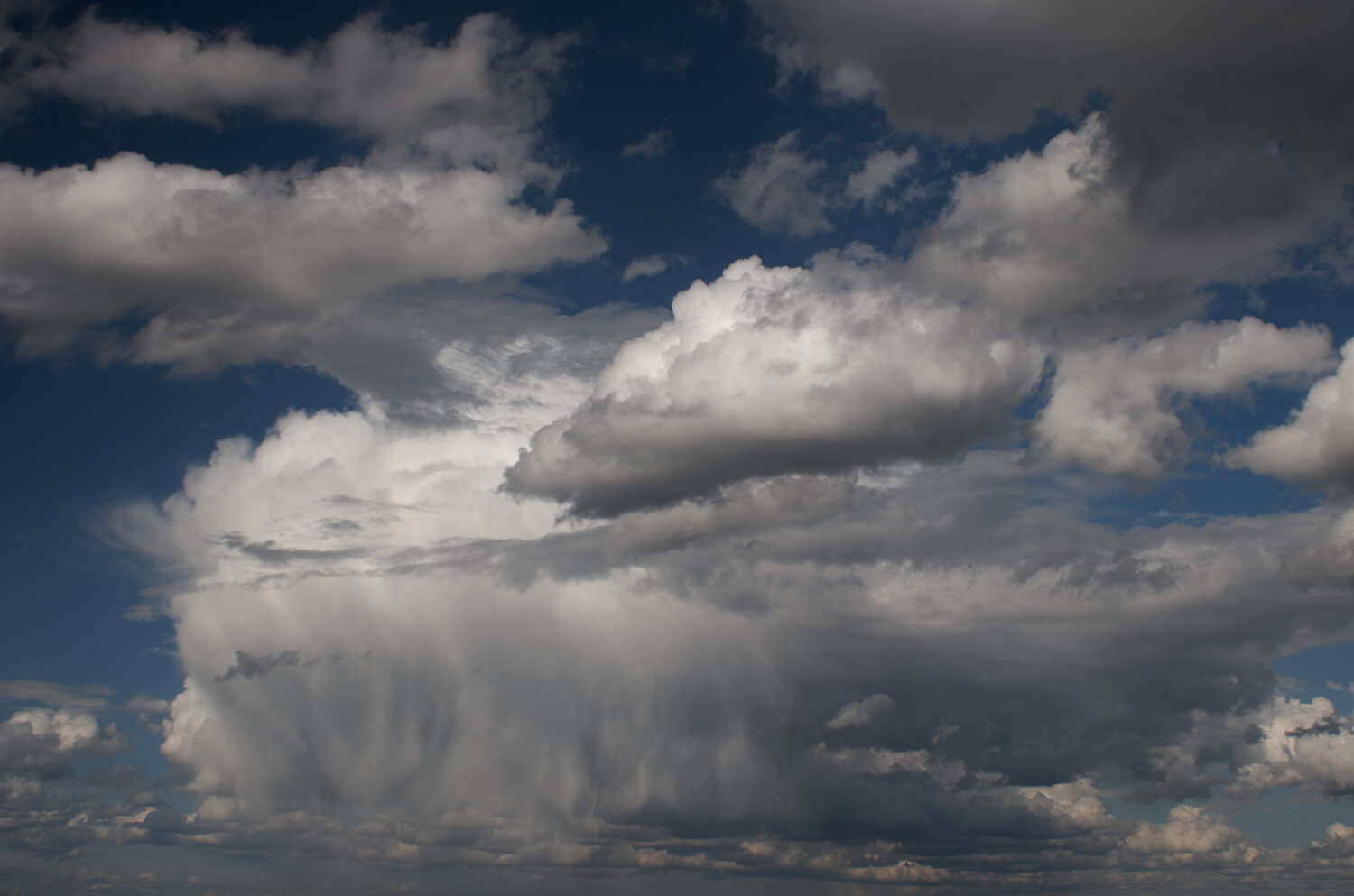 Photo #13781486